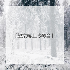 望京楼上聆琴音