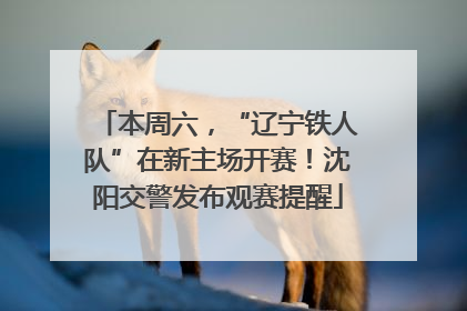 本周六，“辽宁铁人队”在新主场开赛！沈阳交警发布观赛提醒