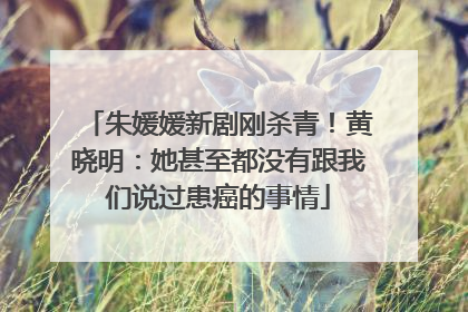 朱媛媛新剧刚杀青！黄晓明：她甚至都没有跟我们说过患癌的事情