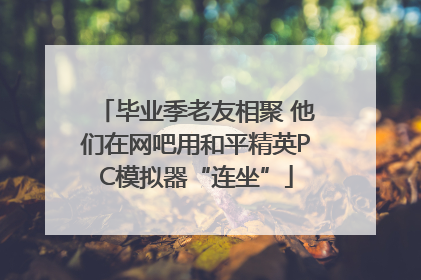 毕业季老友相聚 他们在网吧用和平精英PC模拟器“连坐”