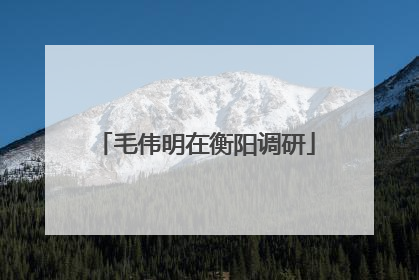 毛伟明在衡阳调研