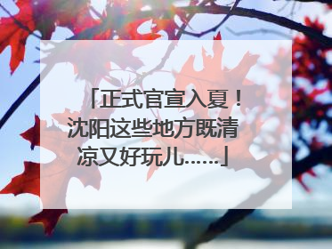 正式官宣入夏！沈阳这些地方既清凉又好玩儿……