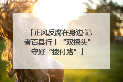 正风反腐在身边·记者百县行丨“双探头”守好“拨付路”