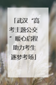 武汉“高考主题公交”暖心启程 助力考生逐梦考场
