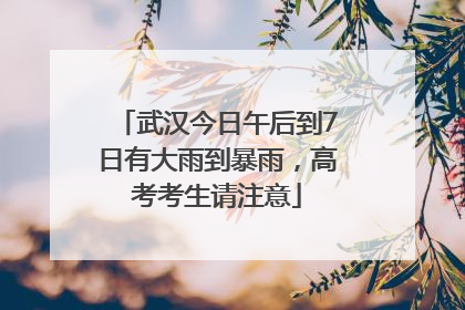 武汉今日午后到7日有大雨到暴雨，高考考生请注意