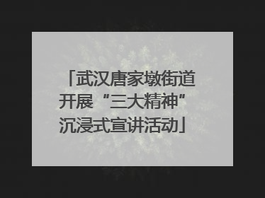 武汉唐家墩街道开展“三大精神”沉浸式宣讲活动
