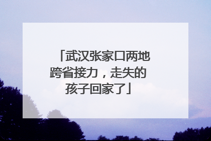 武汉张家口两地跨省接力，走失的孩子回家了