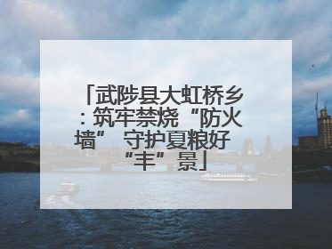 武陟县大虹桥乡：筑牢禁烧“防火墙” 守护夏粮好“丰”景