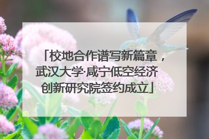 校地合作谱写新篇章，武汉大学·咸宁低空经济创新研究院签约成立