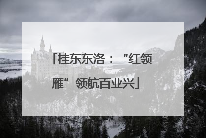 桂东东洛：“红领雁”领航百业兴