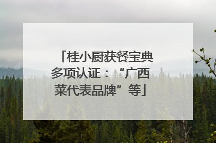 桂小厨获餐宝典多项认证：“广西菜代表品牌”等