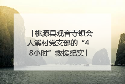 桃源县观音寺镇会人溪村党支部的“48小时”救援纪实