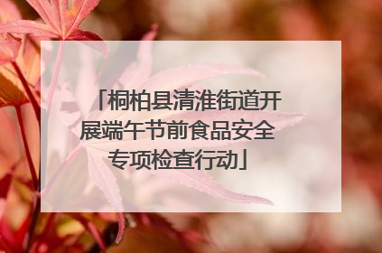 桐柏县清淮街道开展端午节前食品安全专项检查行动