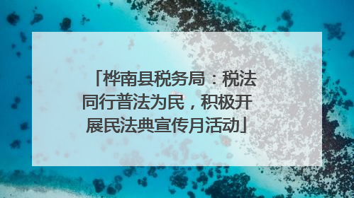 桦南县税务局：税法同行普法为民，积极开展民法典宣传月活动