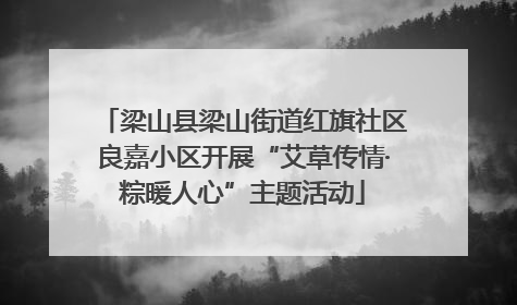 梁山县梁山街道红旗社区良嘉小区开展“艾草传情·粽暖人心”主题活动