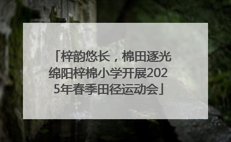 梓韵悠长，棉田逐光 绵阳梓棉小学开展2025年春季田径运动会