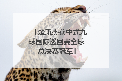 楚秉杰获中式九球国际巡回赛全球总决赛冠军