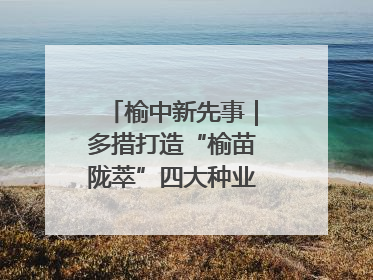 榆中新先事｜多措打造“榆苗陇萃”四大种业育苗品牌