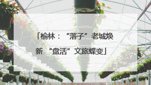 榆林：“落子”老城焕新 “盘活”文旅蝶变