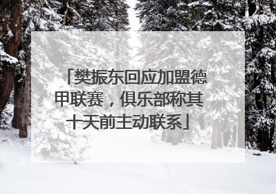 樊振东回应加盟德甲联赛，俱乐部称其十天前主动联系