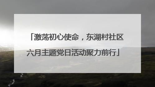 激荡初心使命，东湖村社区六月主题党日活动聚力前行