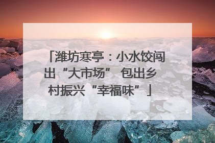 潍坊寒亭：小水饺闯出“大市场” 包出乡村振兴“幸福味”