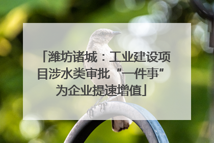 潍坊诸城：工业建设项目涉水类审批“一件事” 为企业提速增值