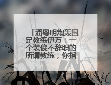 潘粤明炮轰国足教练伊万：一个装傻不辞职的所谓教练，你指望它拯救中国足球！此前曾多次发文评价国足