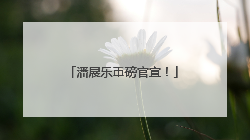 潘展乐重磅官宣！