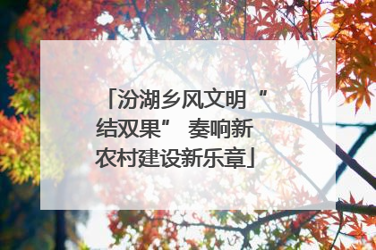 汾湖乡风文明“结双果” 奏响新农村建设新乐章
