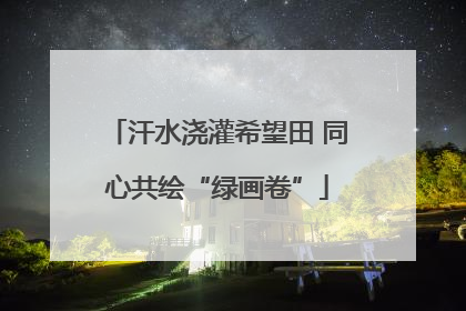 汗水浇灌希望田 同心共绘“绿画卷”