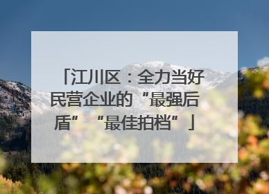 江川区：全力当好民营企业的“最强后盾”“最佳拍档”