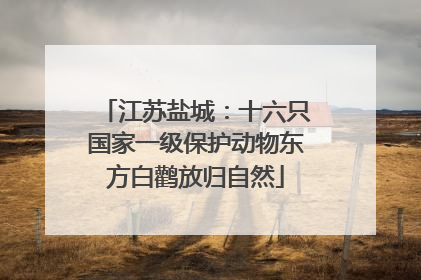 江苏盐城：十六只国家一级保护动物东方白鹳放归自然