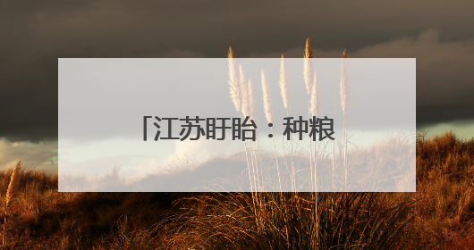 江苏盱眙：种粮大户喜获丰收