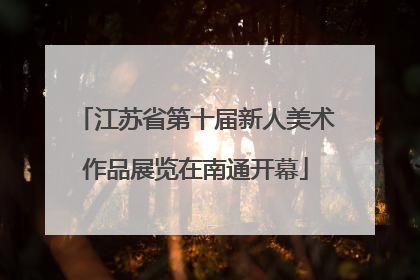 江苏省第十届新人美术作品展览在南通开幕