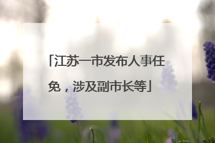 江苏一市发布人事任免，涉及副市长等