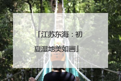 江苏东海：初夏湿地美如画