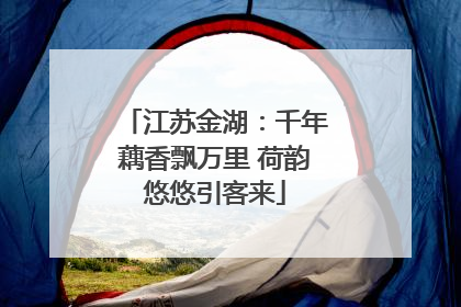 江苏金湖：千年藕香飘万里 荷韵悠悠引客来