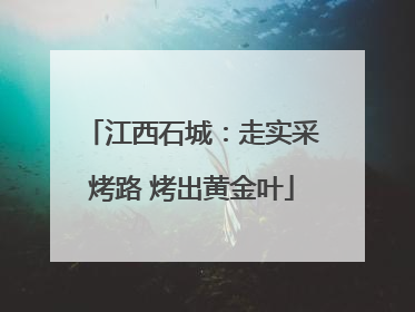 江西石城：走实采烤路 烤出黄金叶