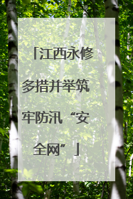 江西永修多措并举筑牢防汛“安全网”