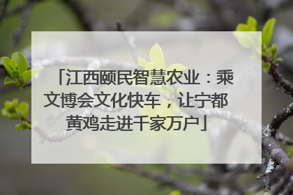 江西颐民智慧农业：乘文博会文化快车，让宁都黄鸡走进千家万户