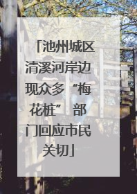 池州城区清溪河岸边现众多“梅花桩” 部门回应市民关切