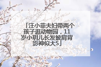 汪小菲夫妇带两个孩子逛动物园，11岁小玥儿长发披肩背影神似大S