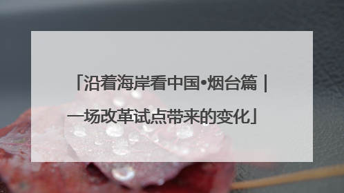 沿着海岸看中国•烟台篇｜一场改革试点带来的变化
