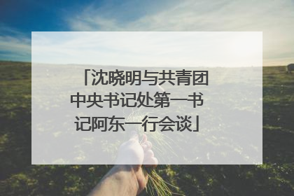 沈晓明与共青团中央书记处第一书记阿东一行会谈