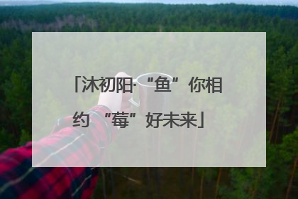 沐初阳·“鱼”你相约 “莓”好未来