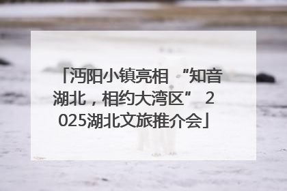 沔阳小镇亮相 “知音湖北，相约大湾区” 2025湖北文旅推介会