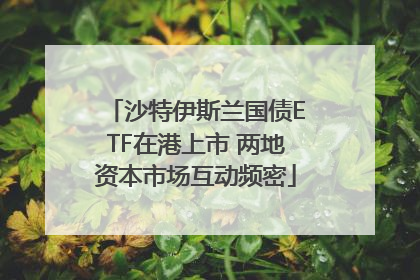 沙特伊斯兰国债ETF在港上市 两地资本市场互动频密