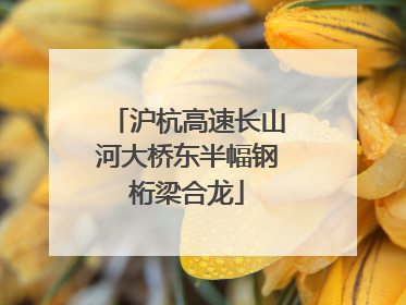 沪杭高速长山河大桥东半幅钢桁梁合龙
