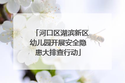 河口区湖滨新区幼儿园开展安全隐患大排查行动